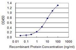 ELISA image for anti-Killer Cell Lectin-Like Receptor Subfamily B, Member 1 (KLRB1) (AA 126-225) antibody (ABIN517353)