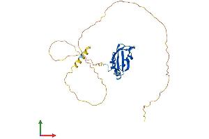 Protein Structure (PS) image for RNA Binding Motif Protein 7 (RBM7) (AA 1-266) protein (His tag) (ABIN7551189)