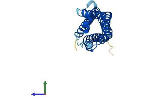 Protein Structure (PS) image for Transmembrane Protein 205 (TMEM205) (AA 1-189) protein (His tag) (ABIN7560089)