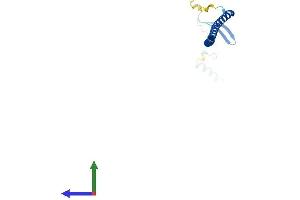 Protein Structure (PS) image for Stathmin 3 (STMN3) (AA 1-180) protein (His tag) (ABIN7546423)