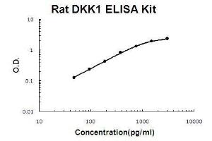 Rat DKK1 PicoKine ELISA Kit standard curve (DKK1 ELISA 试剂盒)