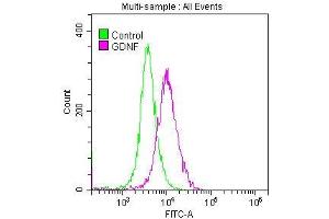 Overlay histogram showing SH-SY5Y cells stained with ABIN7127513 (red line) at 1:50. (Recombinant GDNF 抗体)