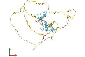 Protein Structure (PS) image for Kruppel-Like Factor 2 (Lung) (KLF2) (AA 1-355) protein (His tag) (ABIN7548955)