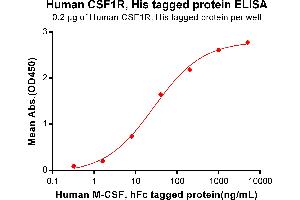 ELISA image for Colony Stimulating Factor 1 Receptor (CSF1R) (AA 20-514) protein (His tag) (ABIN6961125)