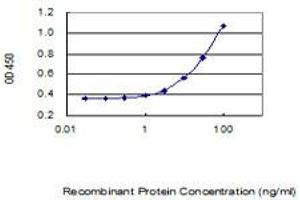 Detection limit for recombinant GST tagged ARV1 is 0. (ARV1 抗体  (AA 1-271))