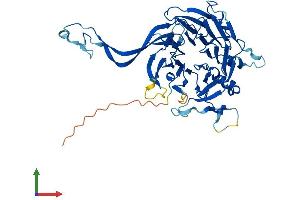 AlphaFold protein structure predicition of Human Recombinant PPP2R2C Protein, UniprotID Q9Y2T4