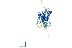 Protein Structure (PS) image for Fat Storage-Inducing Transmembrane Protein 1 (FITM1) (AA 1-292) protein (His tag) (ABIN7559978)
