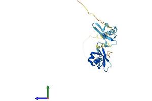 Protein Structure (PS) image for Chromobox Homolog 1 (CBX1) (AA 1-185) protein (His tag) (ABIN7553185)