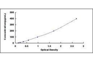 ELISA image for Erythropoietin (EPO) ELISA Kit (ABIN415364)
