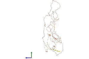 Protein Structure (PS) image for CTF8, Chromosome Transmission Fidelity Factor 8 (CHTF8) (AA 1-533) protein (His tag) (ABIN7562813)