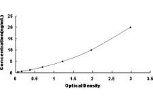 Typical standard curve (PRKAB1 ELISA 试剂盒)