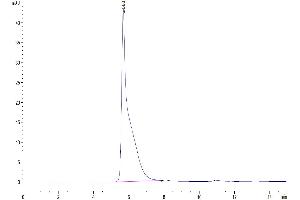 The purity of Mouse DSG-2/Desmoglein-2 is greater than 95 % as determined by SEC-HPLC.