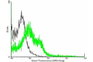 FACS analysis of negative control 293 cells (Black) and EFEMP2 expressing 293 cells (Green) using EFEMP2 purified MaxPab mouse polyclonal antibody.