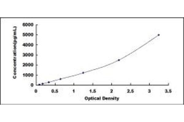 Klotho beta ELISA 试剂盒