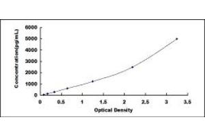 Typical standard curve (Klotho beta ELISA 试剂盒)