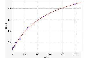 ULK1 ELISA 试剂盒