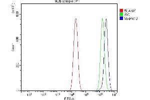 Flow Cytometry analysis of U20S cells using anti-P38 Gamma/MAPK12 antibody (ABIN7600727). (MAPK12 抗体  (AA 229-367))