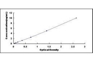 Cyclin-Dependent Kinase Inhibitor 1A (p21, Cip1) (CDKN1A) ELISA Kit
