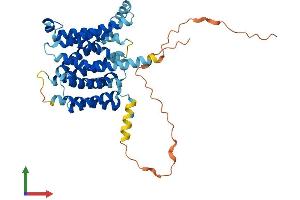 Protein Structure (PS) image for Solute Carrier Family 35 (UDP-Galactose Transporter), Member A2 (SLC35A2) (AA 1-396) protein (His tag) (ABIN7551715)