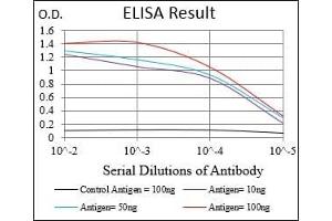 Black line: Control Antigen (100 ng), Purple line: Antigen(10 ng), Blue line: Antigen (50 ng), Red line: Antigen (100 ng), (Myoglobin 抗体  (AA 34-126))