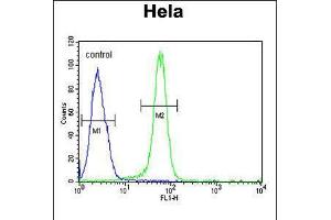 Flow cytometric analysis of Hela cells (right histogram) compared to a negative control cell (left histogram). (NPAP1 抗体  (AA 348-377))