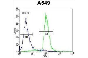 Flow Cytometry (FACS) image for anti-PARP1 Binding Protein (PARPBP) antibody (ABIN2995516) (PARPBP 抗体)