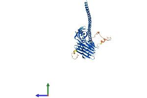 AlphaFold protein structure predicition of Mouse Recombinant Fsd1 Protein, UniprotID Q7TPM6