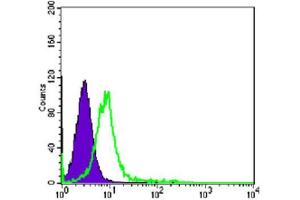 Flow Cytometry (FACS) image for anti-Chromodomain Helicase DNA Binding Protein 3 (CHD3) antibody (ABIN2983311) (CHD3 抗体)