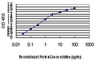 ELISA image for anti-Tripartite Motif Containing 33 (TRIM33) (AA 1006-1106) antibody (ABIN599250) (TRIM33 抗体  (AA 1006-1106))