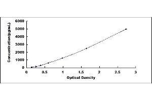Typical standard curve (GGT7 ELISA 试剂盒)