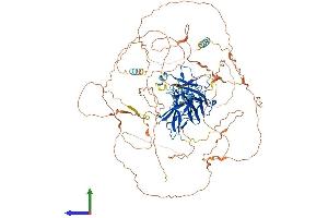 AlphaFold protein structure predicition of Human Recombinant NFATC1 Protein, UniprotID O95644