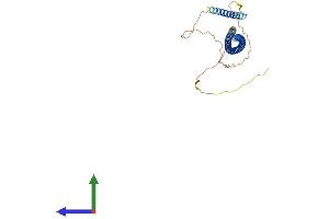 AlphaFold protein structure predicition of Mouse Recombinant Ndel1 Protein, UniprotID Q9ERR1