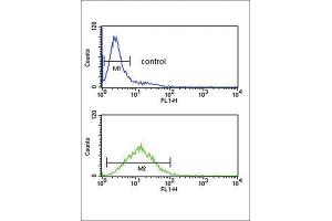 Flow Cytometry (FACS) image for anti-Tumor Protein, Translationally-Controlled 1 (TPT1) antibody (ABIN3003778) (TPT1 抗体)