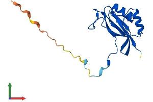 Protein Structure (PS) image for Glyoxalase Domain Containing 5 (GLOD5) (AA 1-160) protein (His tag) (ABIN7548013)