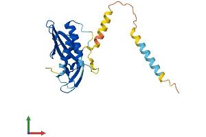 AlphaFold protein structure predicition of Human Recombinant RTP2 Protein, UniprotID Q5QGT7