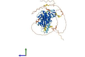 AlphaFold protein structure predicition of Mouse Recombinant Araf Protein, UniprotID P04627