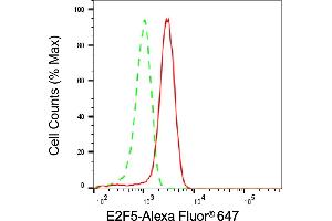 Flow cytometric analysis of E2F5 expression in HepG2 cells using E2F5 antibody (ABIN7798417), 1:1,000). (E2F5 抗体)