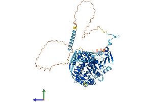 AlphaFold protein structure predicition of Human Recombinant CPSF2 Protein, UniprotID Q9P2I0 (CPSF2 Protein (AA 1-782) (His tag))