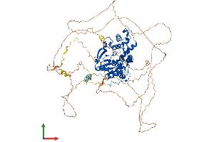 AlphaFold protein structure predicition of Human Recombinant EXO1 Protein, UniprotID Q9UQ84