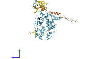 Protein Structure (PS) image for PR Domain Containing 5 (PRDM5) (AA 1-599) protein (His tag) (ABIN7564958)