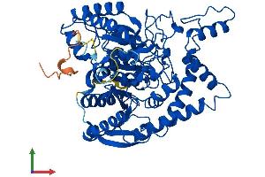 AlphaFold protein structure predicition of Mouse Recombinant Qrsl1 Protein, UniprotID Q9CZN8