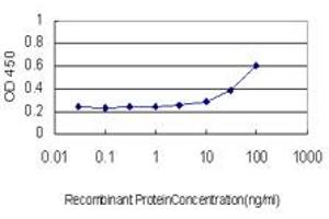 Detection limit for recombinant GST tagged LFNG is approximately 3ng/ml as a capture antibody. (LFNG 抗体  (AA 1-250))
