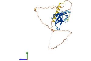 AlphaFold protein structure predicition of Mouse Recombinant Majin Protein, UniprotID Q9D992 (Majin (AA 1-256) protein (His tag))
