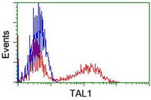 Image no. 2 for anti-T-Cell Acute Lymphocytic Leukemia 1 (TAL1) antibody (ABIN1501292)