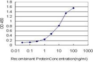 Detection limit for recombinant GST tagged SYT2 is approximately 0. (SYT2 抗体  (AA 311-418))