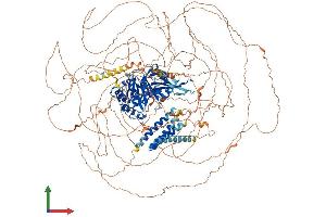 AlphaFold protein structure predicition of Mouse Recombinant Usp54 Protein, UniprotID Q8BL06