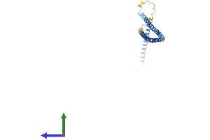 AlphaFold protein structure predicition of Mouse Recombinant Sike1 Protein, UniprotID Q9CPR7