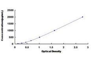 Defensin, beta 103A (DEFB103A) ELISA Kit