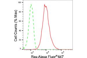 Flow cytometric analysis of Ras expression in HepG2 cells using Ras antibody (ABIN7799627), 1:2,000). (Recombinant NRAS/HRAS/KRAS 抗体)