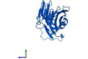 AlphaFold protein structure predicition of Mouse Recombinant Cfap20 Protein, UniprotID Q8BTU1